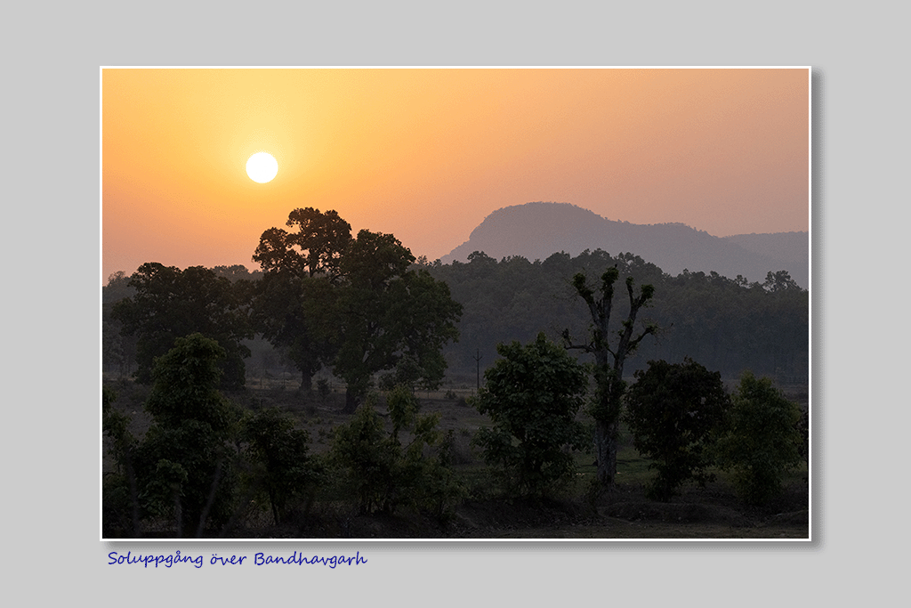 Soluppgång över Bandhavgarh